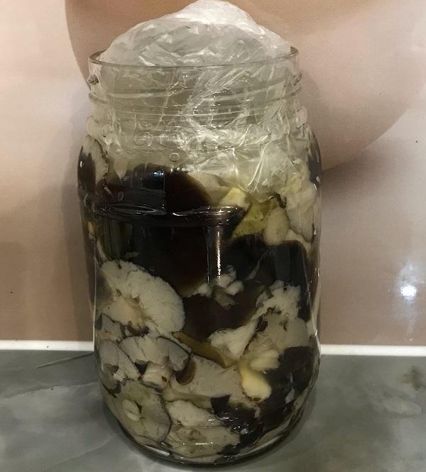 грибы зелёнки