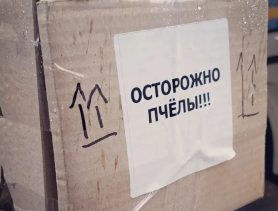 Странные грузы в фурах дальнобойщиков
