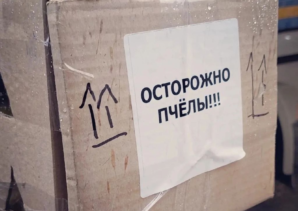 Странные грузы в фурах дальнобойшиков
