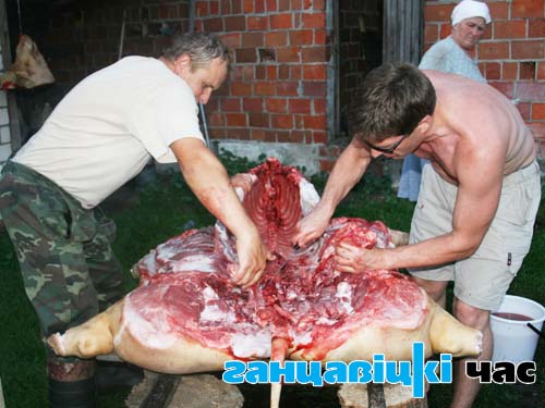 Пока в Ганцевичском районе АЧ нет, люди массово убивают свиней и заполняют морозильные камеры
