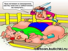 Свежына па-магілёўску