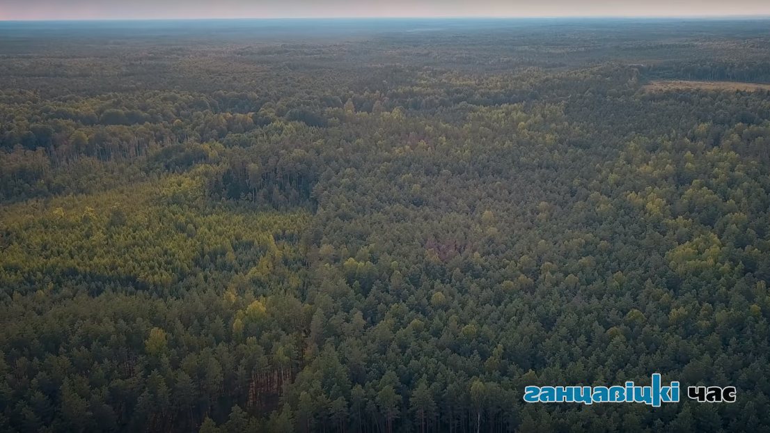 Фото носит иллюстративный характер