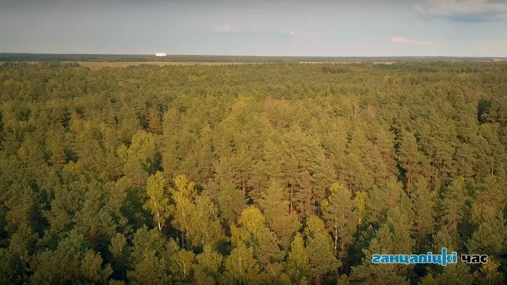 Фото носит иллюстративный характер
