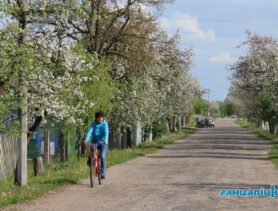 Весеннее равноденствие: что происходит в космосе в этот день?
