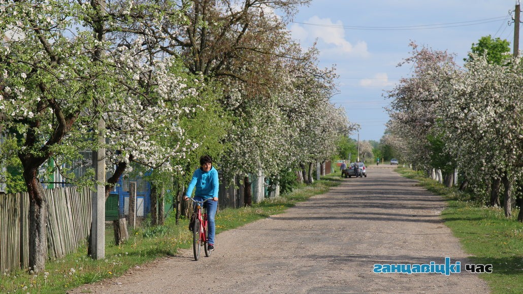 Готовьте легкую одежду! В Беларусь идет настоящая майская погода