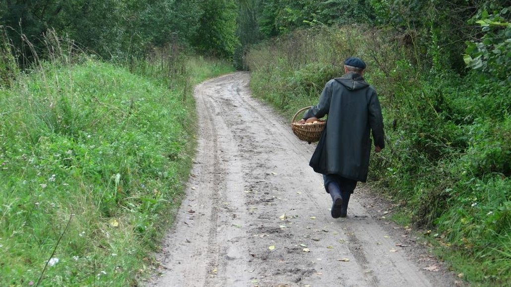 Как не заблудиться в лесу и что делать если все-таки заблудился