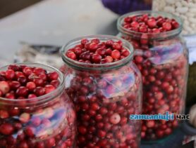 Лучше, чем лекарства: какие продукты эффективно очищают организм от токсинов