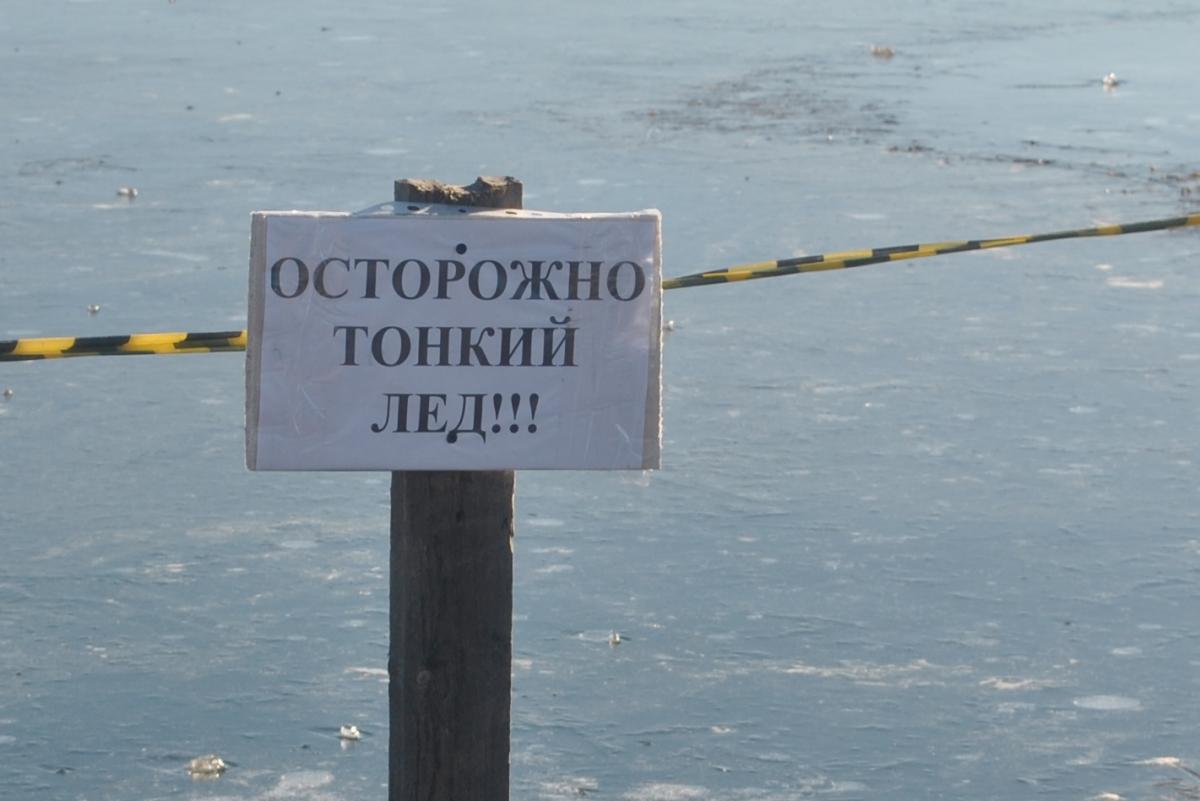 Фото носит иллюстративный характер