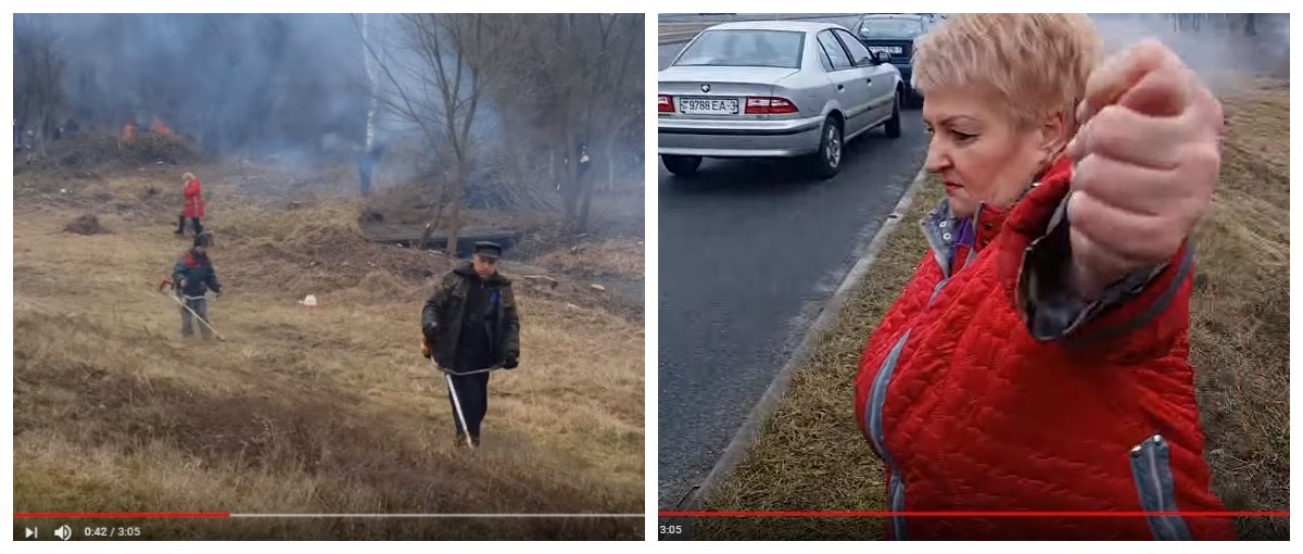 К приезду Лукашенко в январе косят траву в Добруше. А “мэр” скрутила дулю блогеру