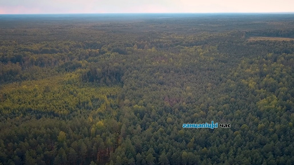 Ганцевичский район - самый «лесной» в Брестской области