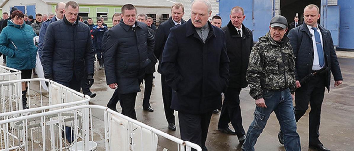Эхо недели: Беларусь в преддверии коронавыборов