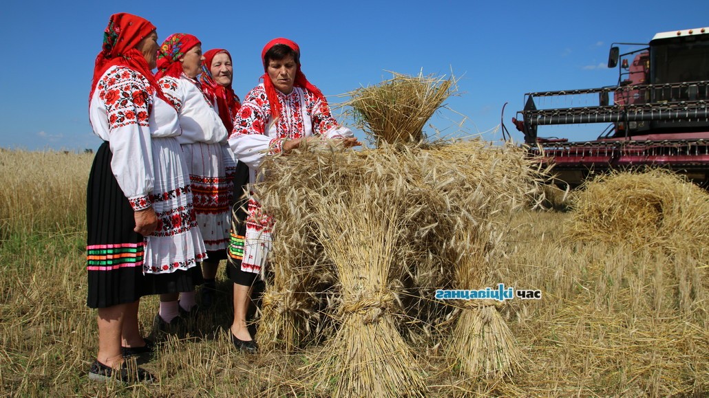 Древний праздник «Зажинки»: обряды и традиции белорусов