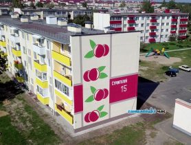 В Ганцевичском микрорайоне появился свой «‎клюквенник». Фотофакт