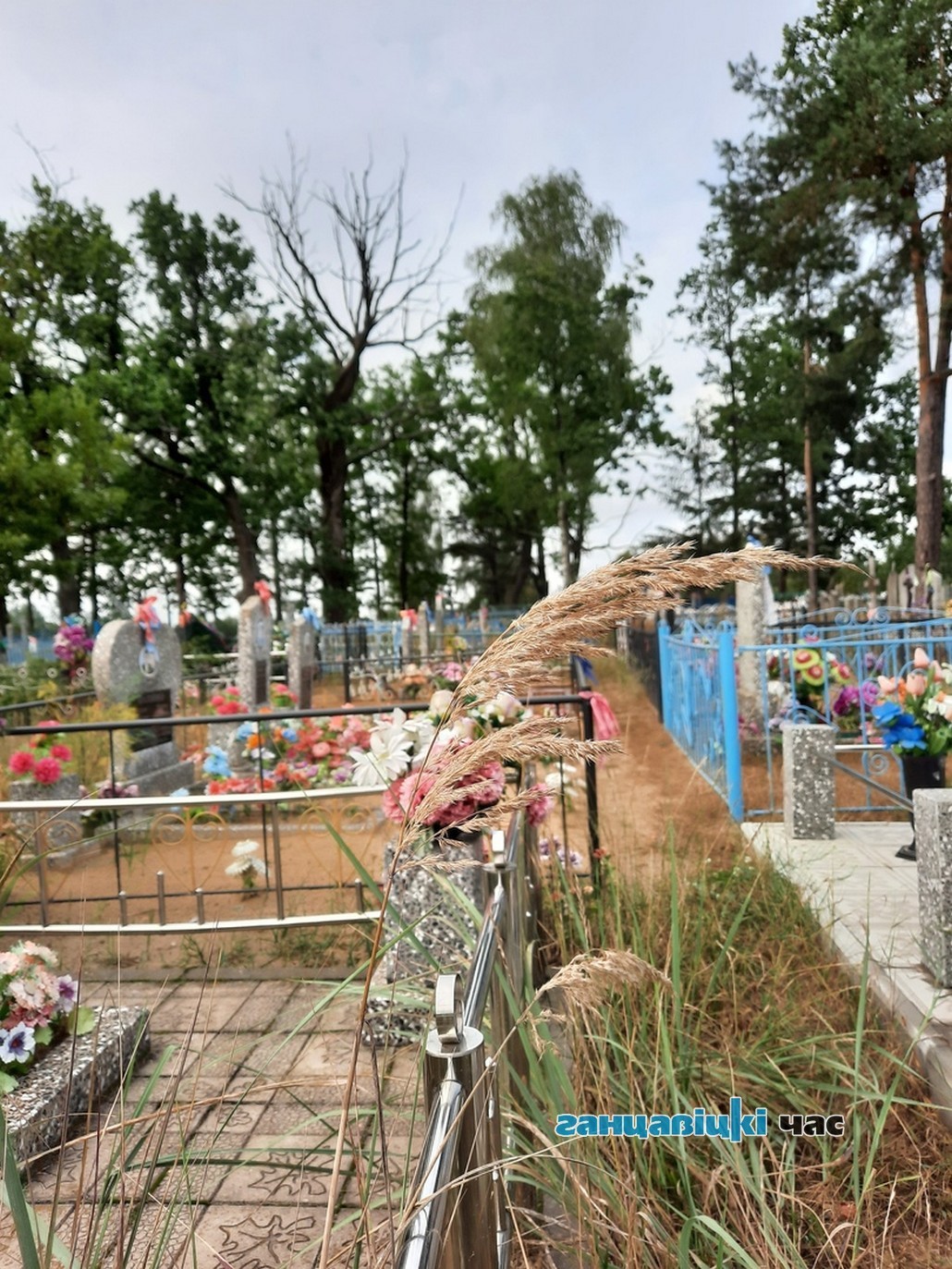 У Ганцавіцкім раёне ў 2019 годзе было народжана 231 чалавек (-22) . Памерла 456 (+4)